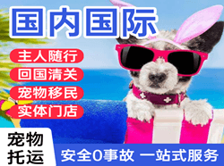 义勒力特机场空运国际宠物托运 【国